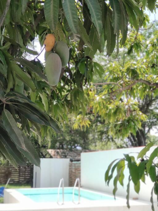 Casa Mango Amplia Con Alberca Y Cerca De La Media Luna !!! Río Verde Екстериор снимка