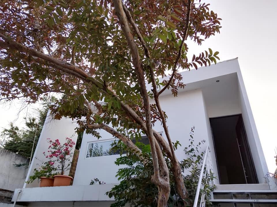Casa Mango Amplia Con Alberca Y Cerca De La Media Luna !!! Río Verde Екстериор снимка